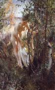 Anders Zorn Unknow work 88 oil painting reproduction
